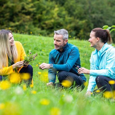 Gesundheits- & Wellnessresort Salzerbad Kleinzell Zewnętrze zdjęcie